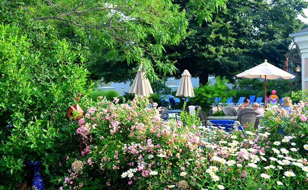 Margaritaville Cape Cod